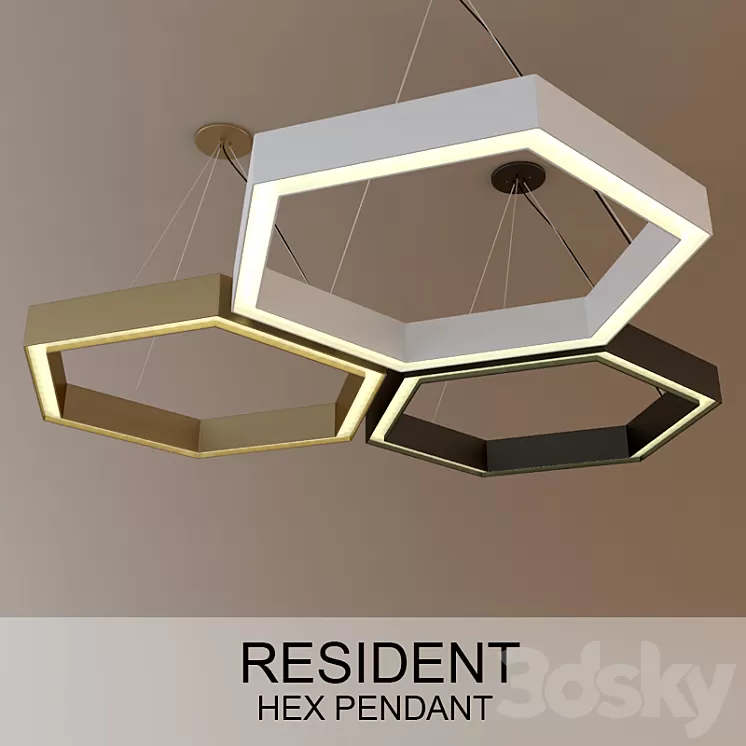 HEX PENDANT 3D Model