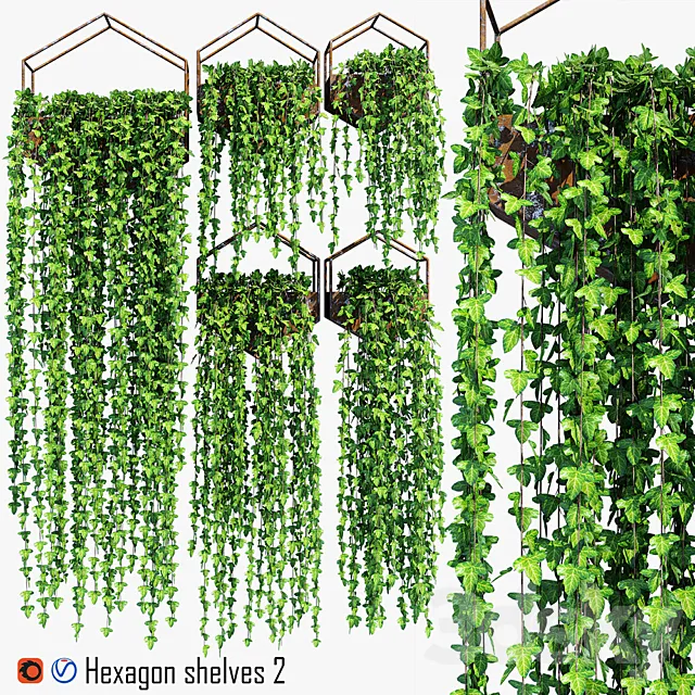 Hexagon shelves 2 3D Model Hexagon shelves 2 3D Model