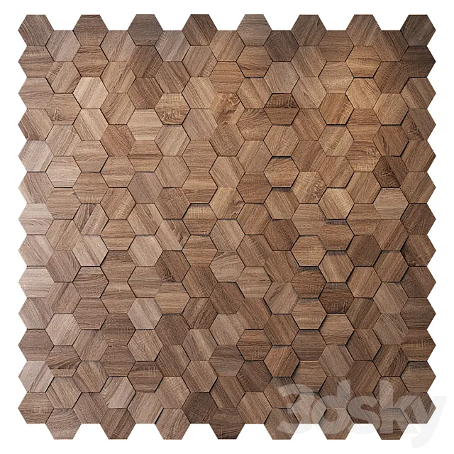 Hexagon wood panel 3D Model