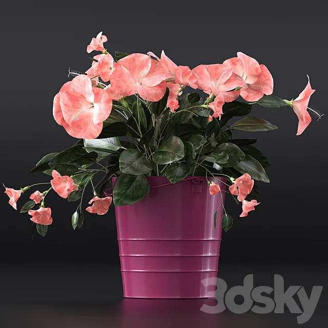 Hibiscus 3DModel Hibiscus 3DModel
