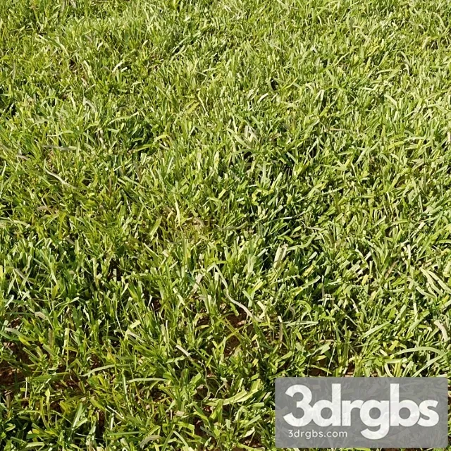 High details grass High details grass