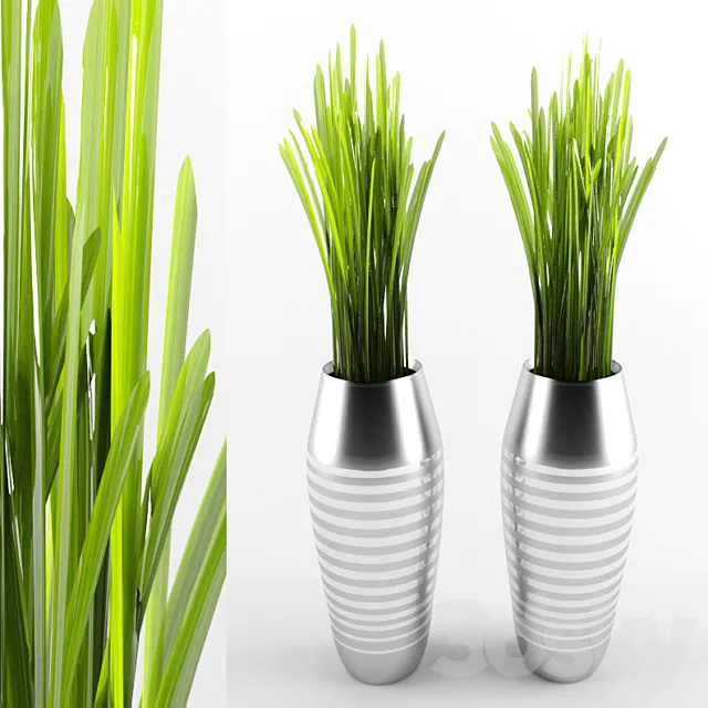 High grass 3DModel High grass 3DModel