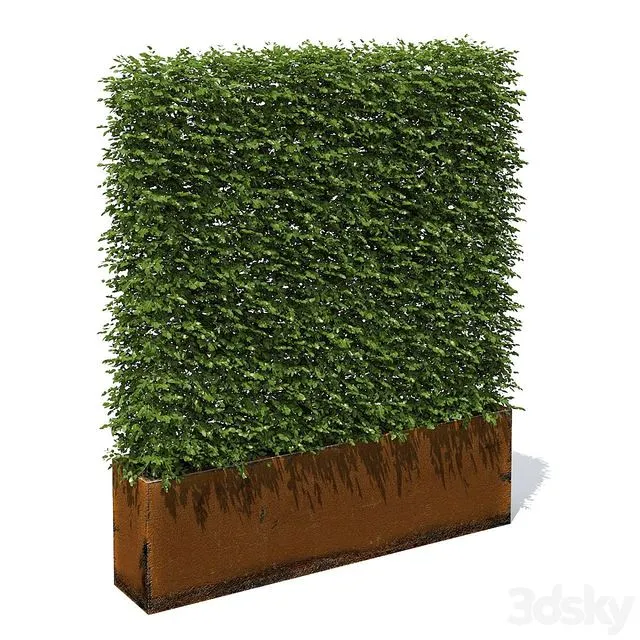 High hedges 3D Model