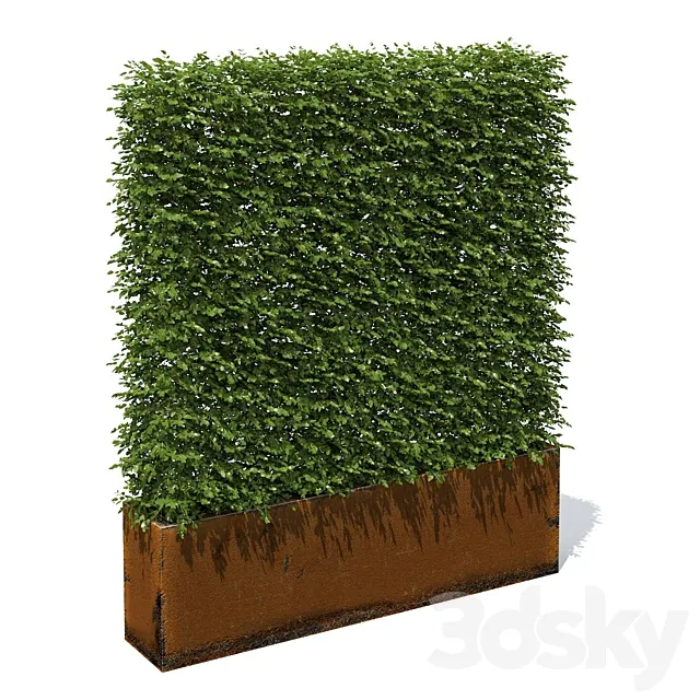 High hedges 3D Model