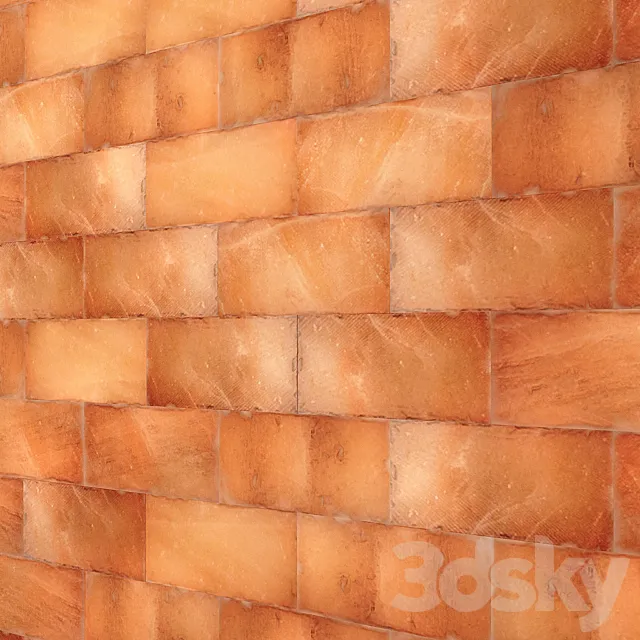 Himalayan salt wall 3DModel