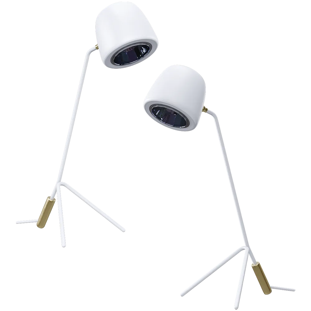 HIND RABII – Table lamp Ice Donna S 3D Model HIND RABII – Table lamp Ice Donna S 3D Model