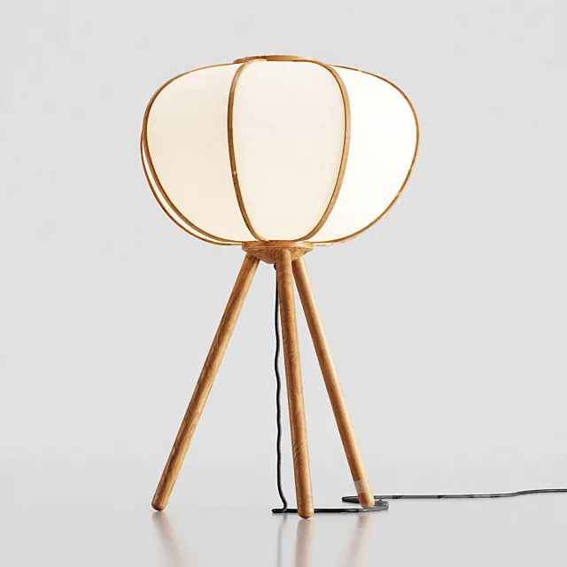 H&M Bamboo floor lamp 3D Model H&M Bamboo floor lamp 3D Model