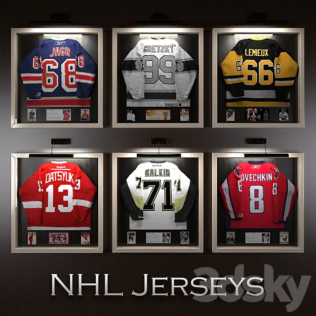 Hockey jerseys NHL stars 3DModel Hockey jerseys NHL stars 3DModel