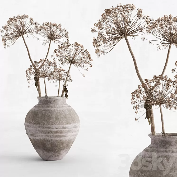 Hogweed in a clay vase 3D Model