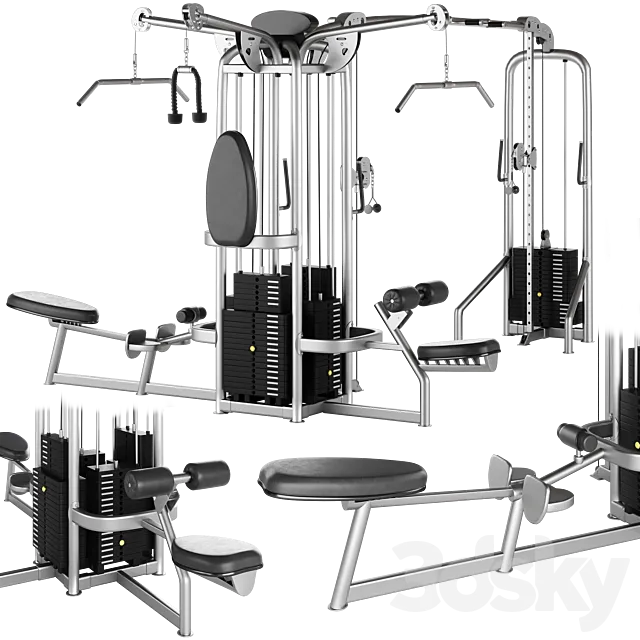 HOIST MULTI JUNGLE GYM SYSTEM CMJ-6600-S 6 STATION 3D Model