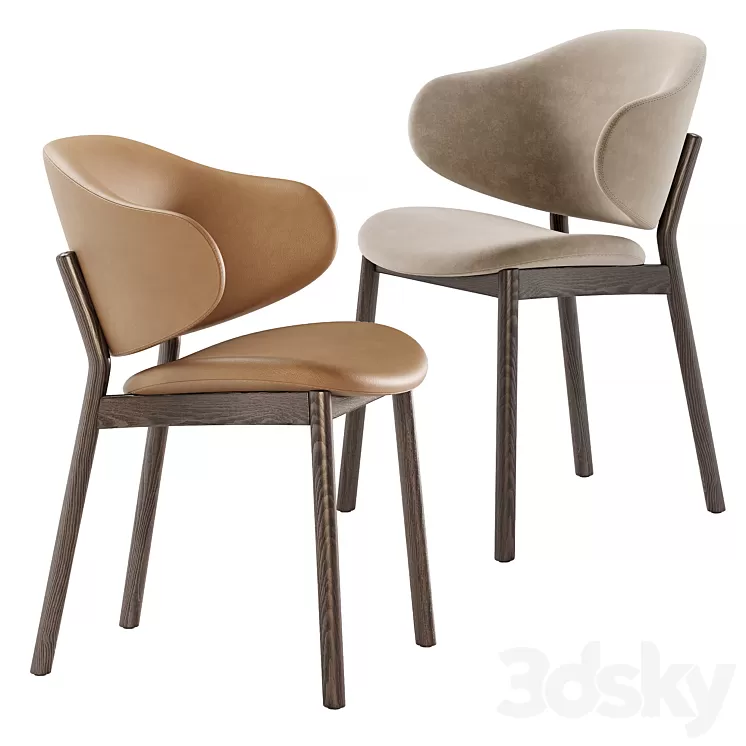 Holly chairs by Calligaris 3D Model Free Download
