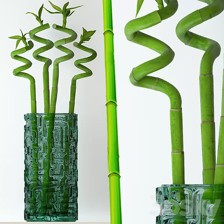 Home bamboo 3D Model Home bamboo 3D Model