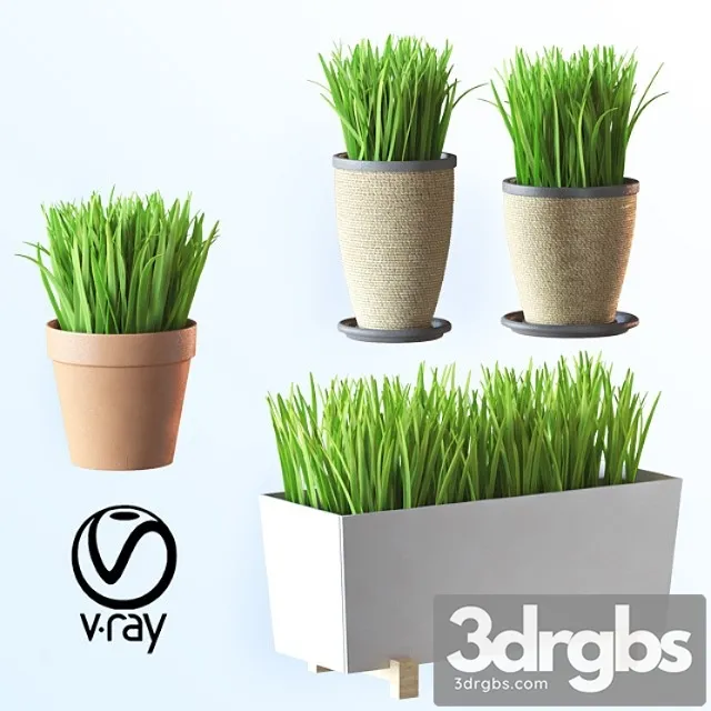 Home plant v1 Home plant v1