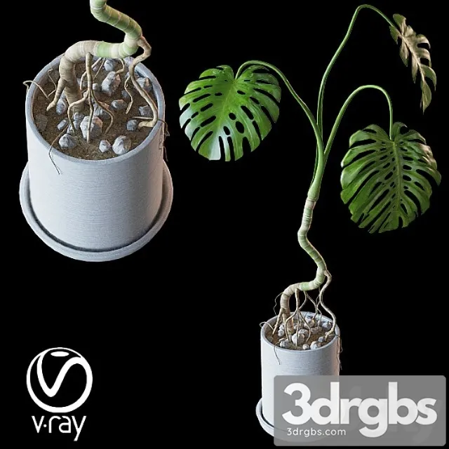 Home plant v2 (realistic) Home plant v2 (realistic)