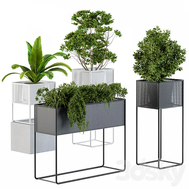 Home Set Plants Metal Box 3D Model Home Set Plants Metal Box 3D Model