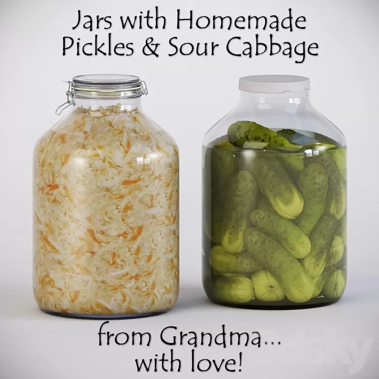 Homemade Pickles & Sour Cabbage 3D Model