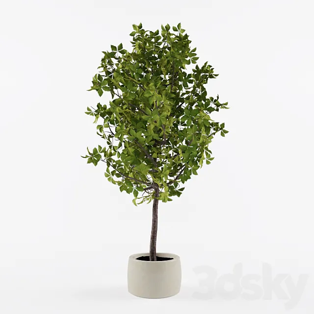 Homemade tree 3D Model Homemade tree 3D Model