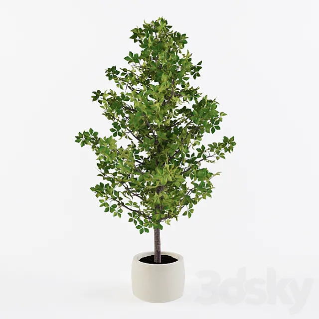 Homemade Tree 3dmodel - 3dsky Decor Helper