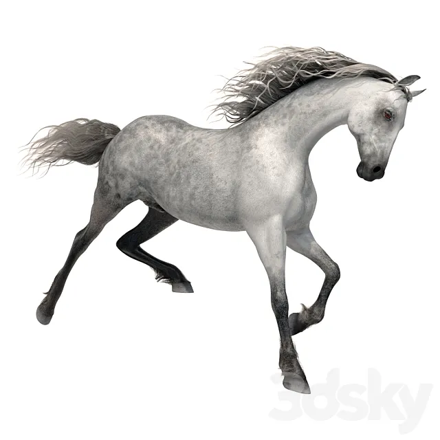 Horse 3D Model