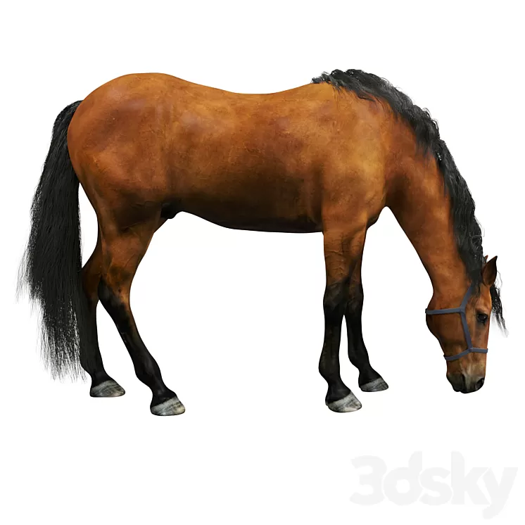 Horse 3D Model