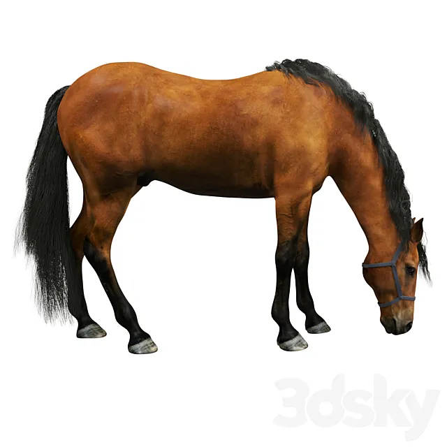 Horse 3DModel