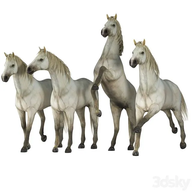 Horse in 04 Poses 3D Model