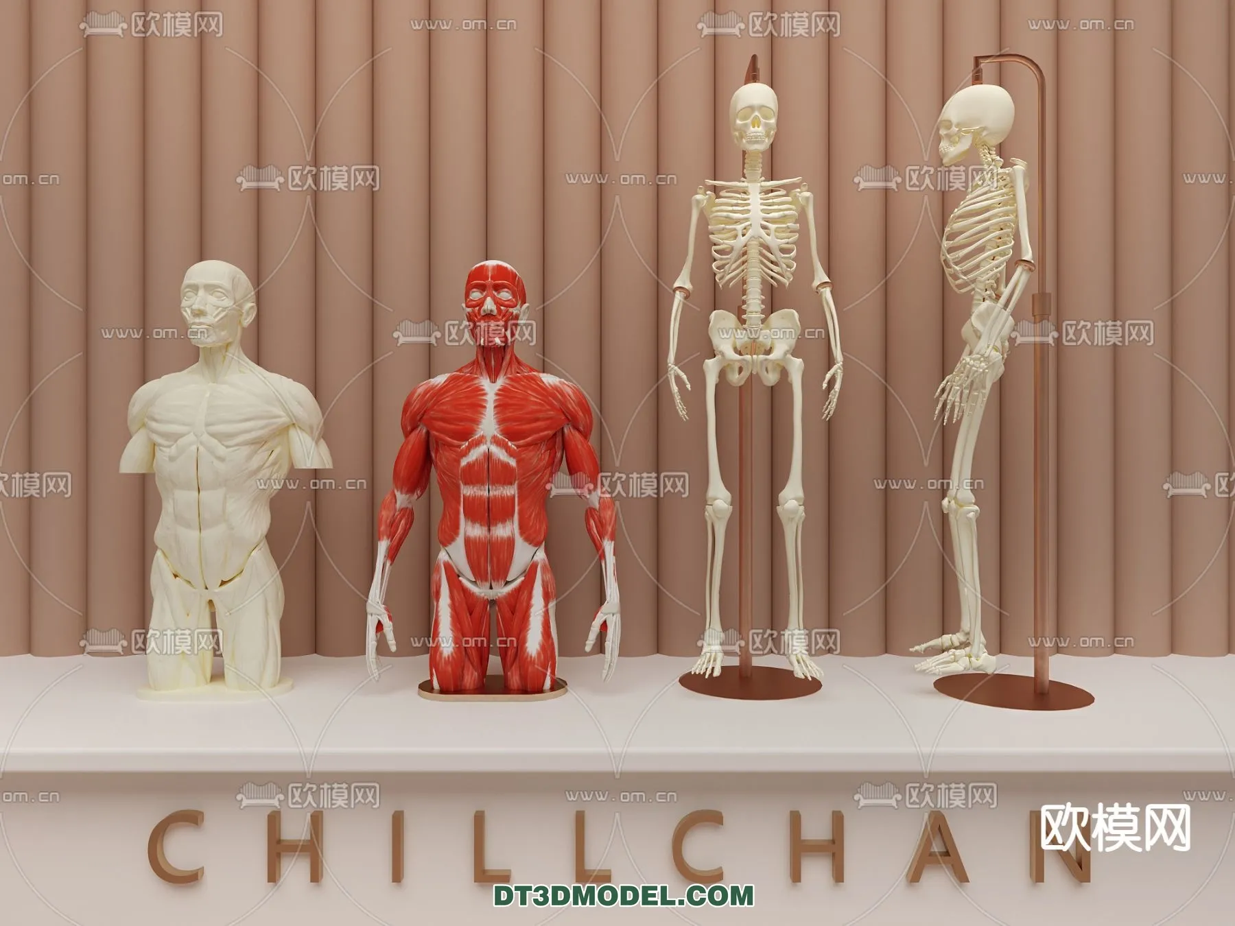 HOSPITAL CLINIC – 3D Model For Interior Design – 11325