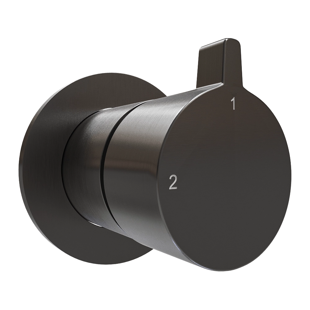 Hotbath srl – 2-way concealed diverter AC111 3D Model