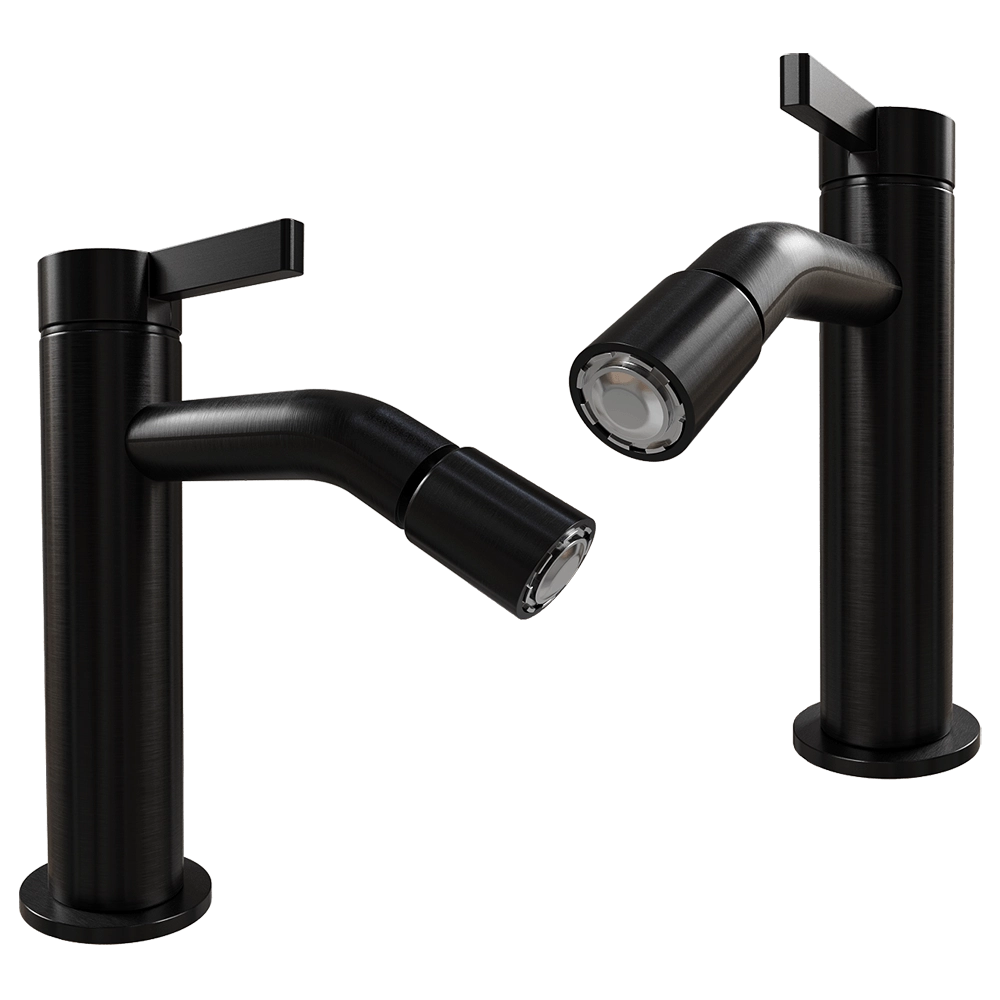 Hotbath srl – Brass bidet mixer AC018 B 3D Model