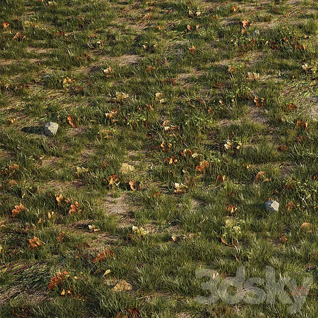 House grass or lawns 3D Model House grass or lawns 3D Model