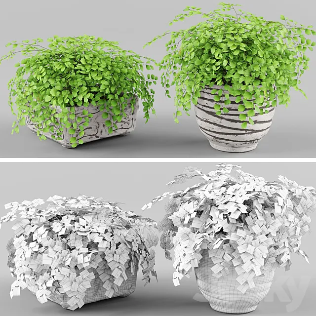 Houseplant 1 3DModel Houseplant 1 3DModel