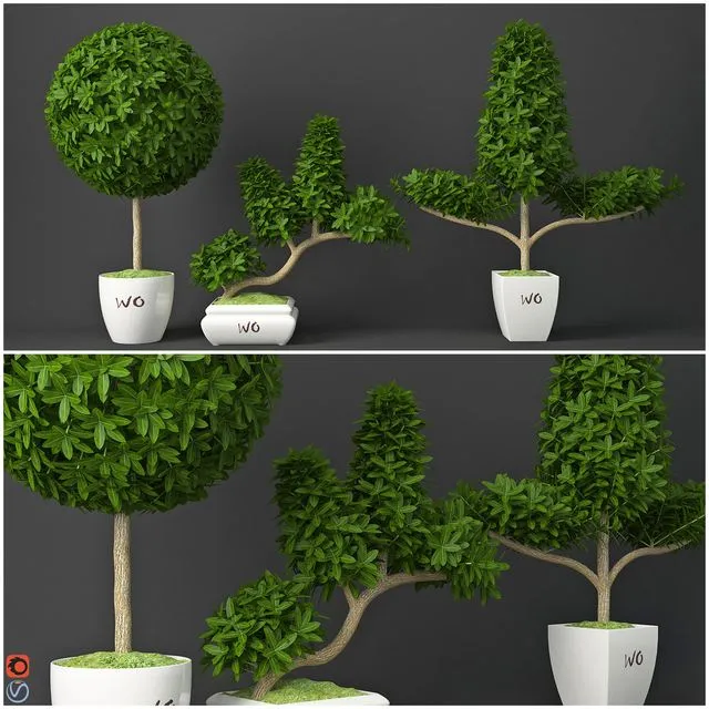 Houseplant 15 3D Model Houseplant 15 3D Model