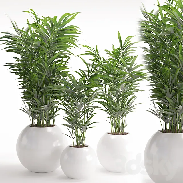 Houseplant 20 3D Model Houseplant 20 3D Model