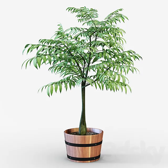 Houseplant 3D Model Houseplant 3D Model