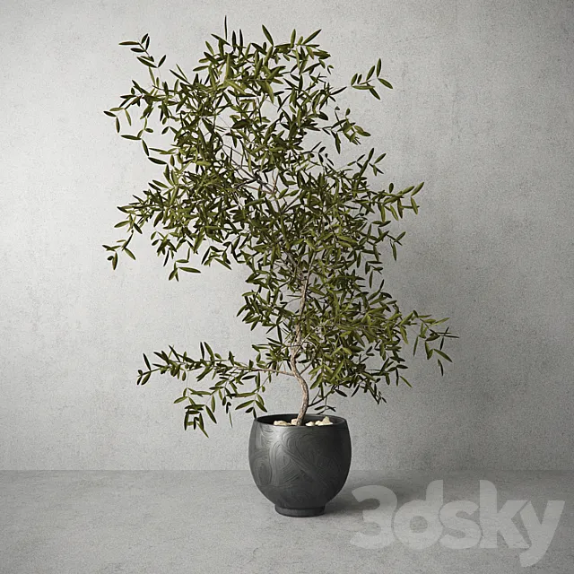 Houseplant 3DModel Houseplant 3DModel