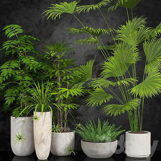 houseplant 3DModel houseplant 3DModel