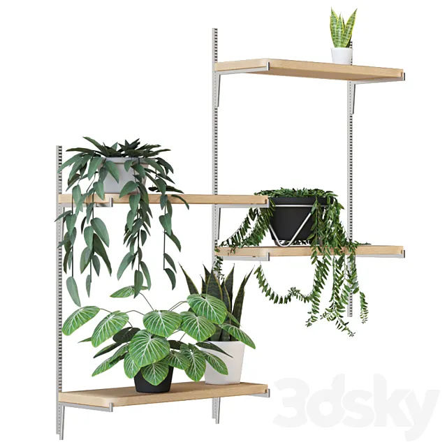 Houseplant set 1 3DModel
