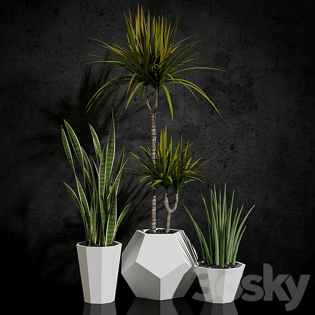 Houseplants 3DModel Houseplants 3DModel