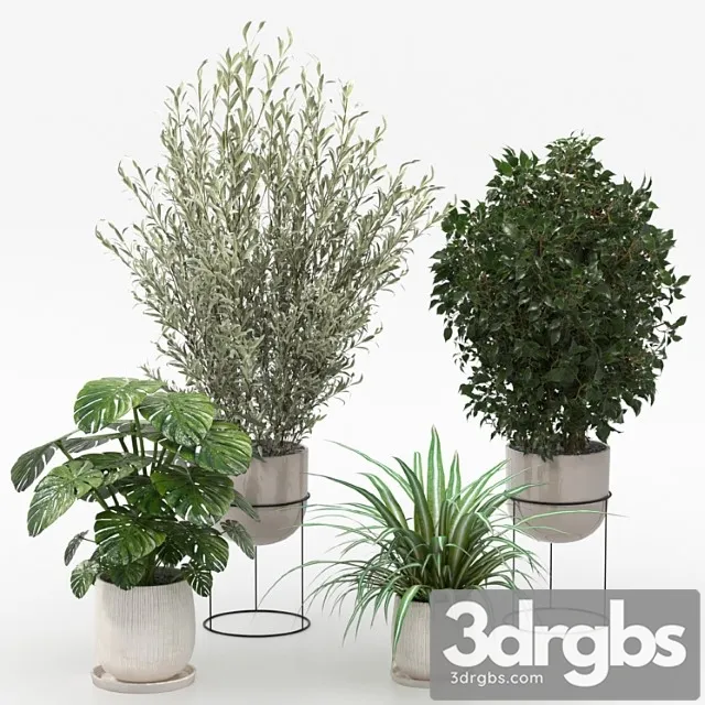 Houseplants collection (v-ray) Houseplants collection (v-ray)