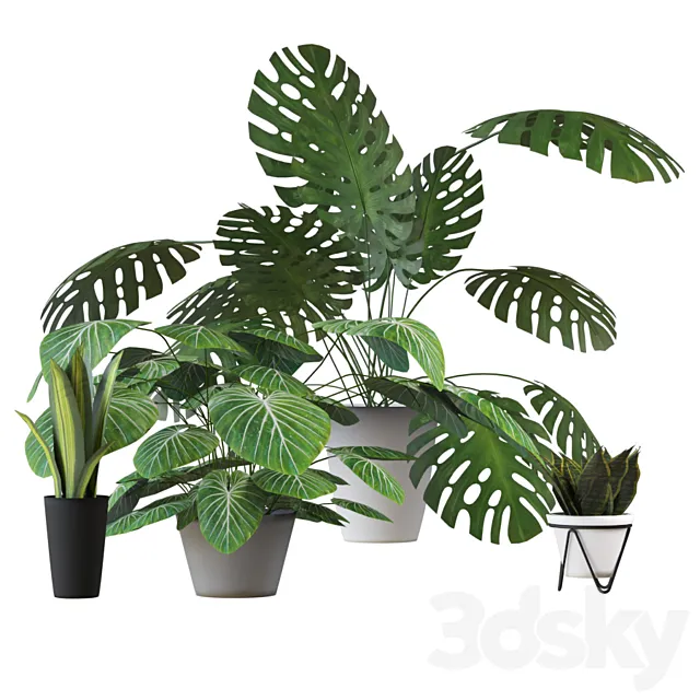 Houseplants set 2 3DModel Houseplants set 2 3DModel