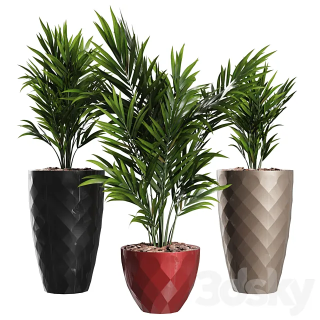 Howea Forsteriana Vase Plant 3DModel Howea Forsteriana Vase Plant 3DModel
