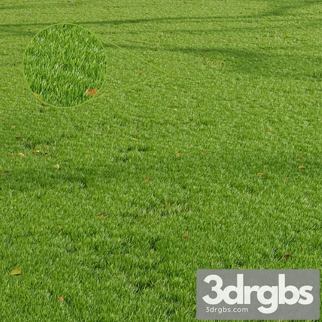 Hq Grass Park Summer 3D Model Download Hq Grass Park Summer 3D Model Download