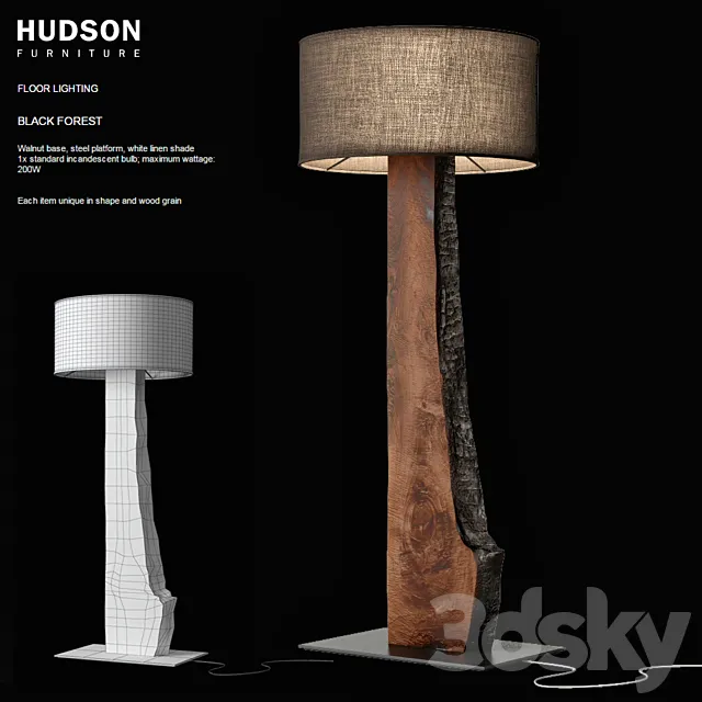 Hudson Black Forest 3DModel Hudson Black Forest 3DModel
