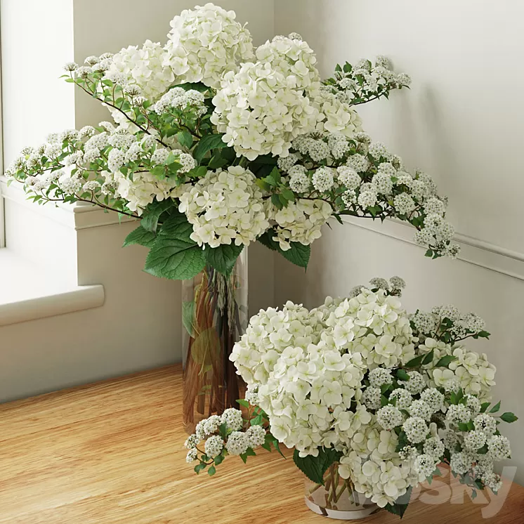 Hydrangea 2 3D Model