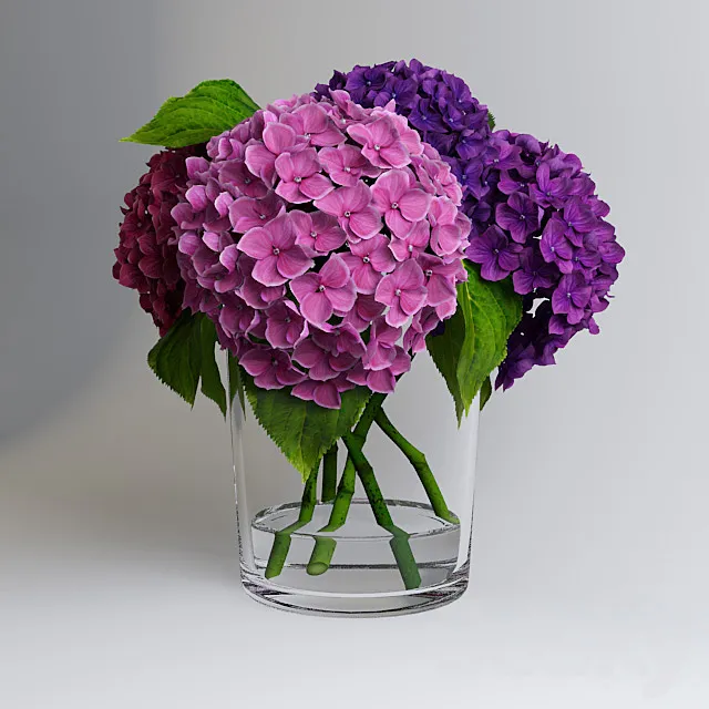 Hydrangea 3D Model Hydrangea 3D Model