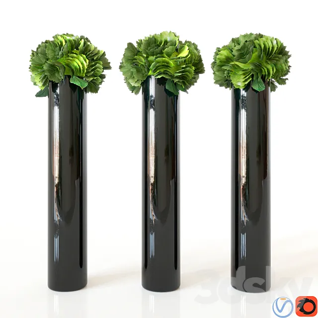 Hydrangea 3DModel Hydrangea 3DModel