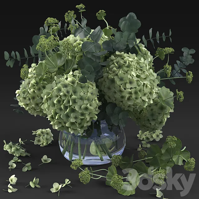Hydrangea 3DModel Hydrangea 3DModel
