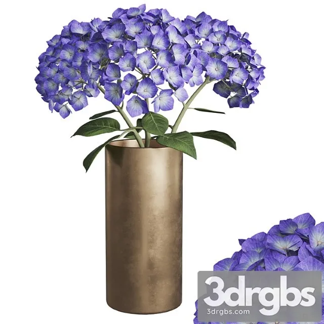 Hydrangea Branches In a Vase 02 3D Model Download