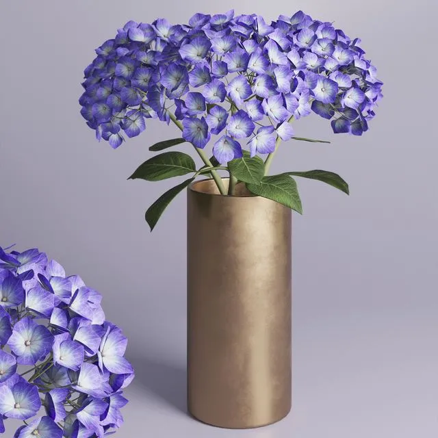 Hydrangea branches in a vase_02 3D Model Hydrangea branches in a vase_02 3D Model