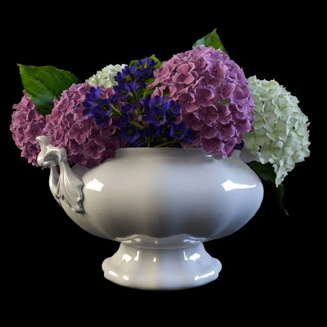 Hydrangea in a vase 3D Model